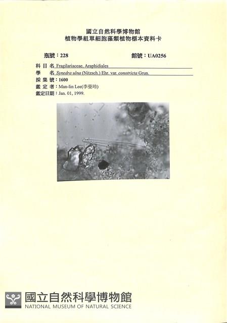 登錄號:UA0256藏品圖，第1張