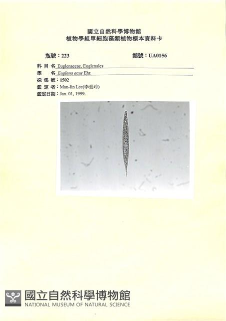 登錄號:UA0156藏品圖，第1張