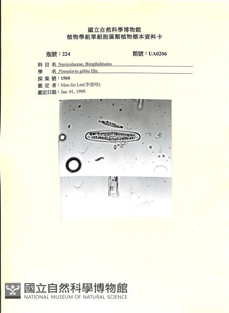 登錄號:UA0206藏品圖，第1張