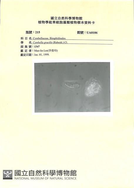 登錄號:UA0106藏品圖，第1張