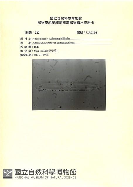 登錄號:UA0196藏品圖，第1張
