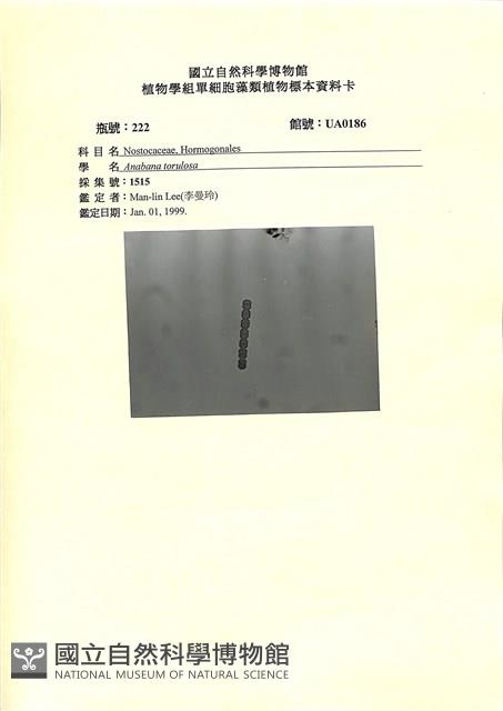 登錄號:UA0186藏品圖，第1張