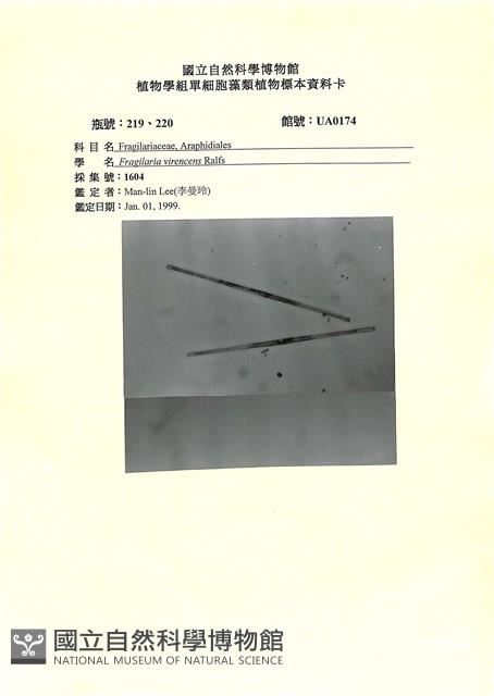 登錄號:UA0174藏品圖，第1張