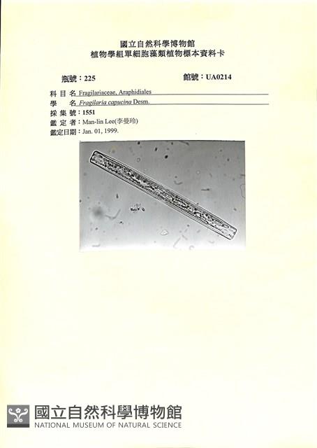 登錄號:UA0214藏品圖，第1張