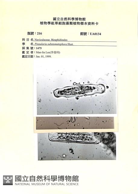 登錄號:UA0134藏品圖，第1張