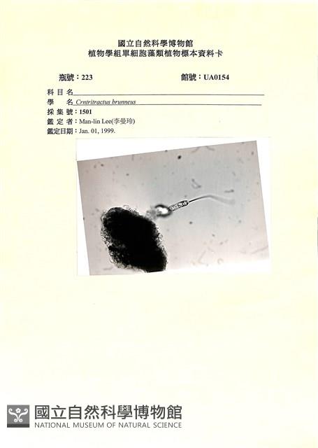 登錄號:UA0154藏品圖，第1張