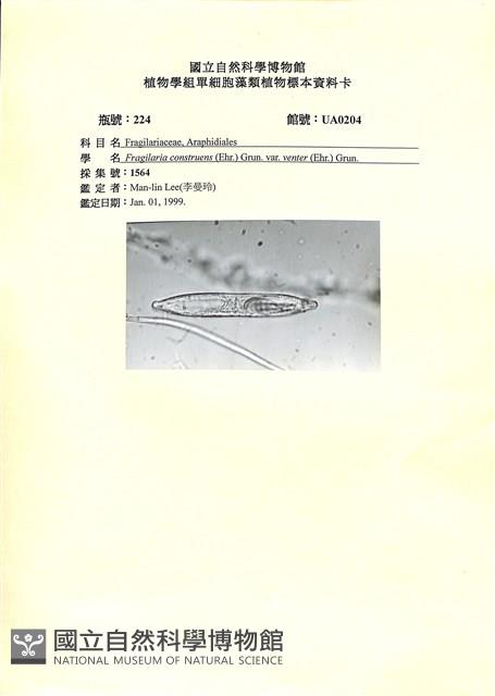 登錄號:UA0204藏品圖，第1張
