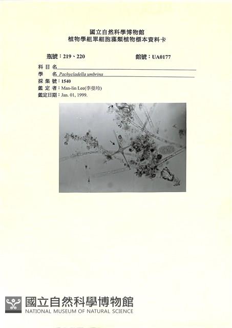 登錄號:UA0177藏品圖，第1張