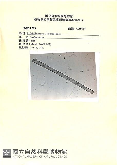 登錄號:UA0167藏品圖，第1張