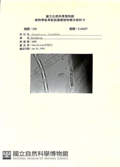 登錄號:UA0257藏品圖，第1張