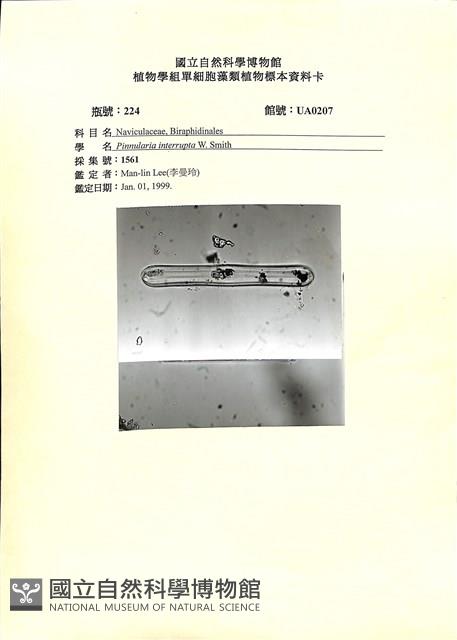 登錄號:UA0207藏品圖，第1張
