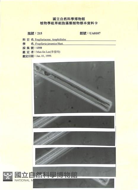 登錄號:UA0107藏品圖，第1張