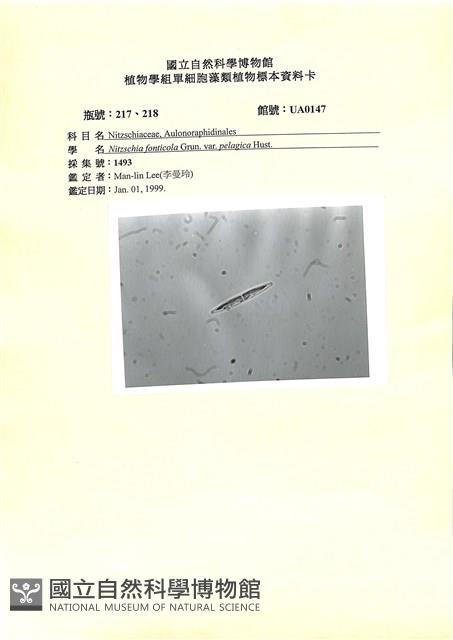 登錄號:UA0147藏品圖，第1張