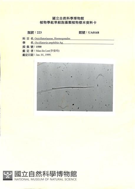 登錄號:UA0168藏品圖，第1張