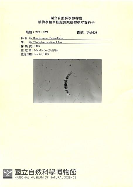 登錄號:UA0238藏品圖，第1張