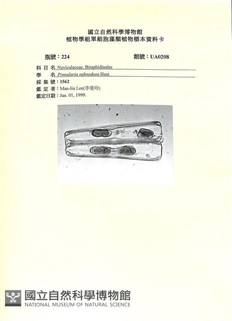 登錄號:UA0208藏品圖，第1張