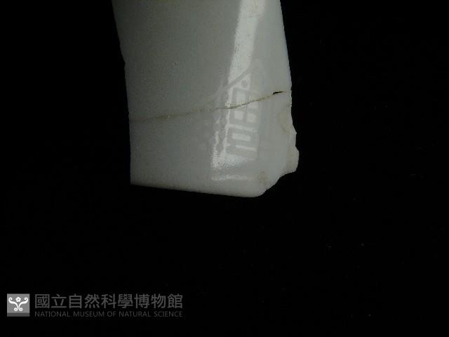 瓷杯藏品圖，第4張