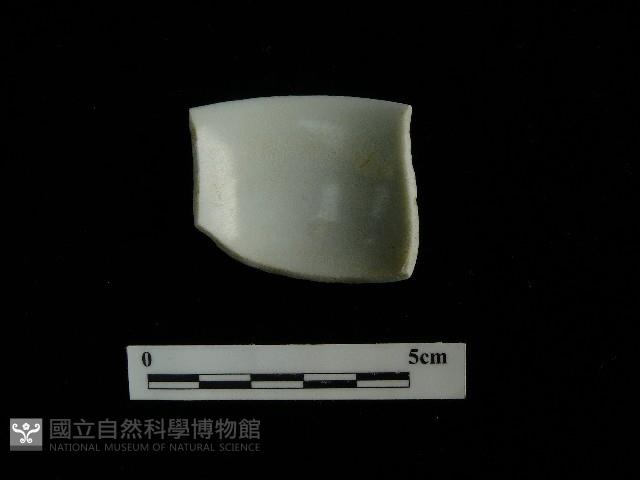 瓷杯藏品圖，第1張