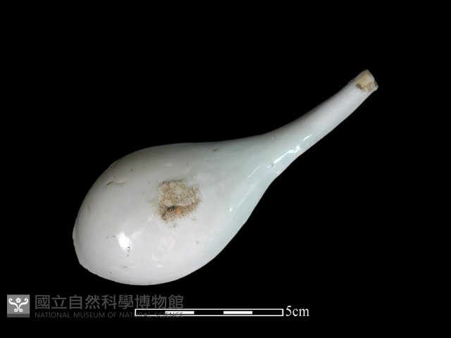 湯匙藏品圖，第3張