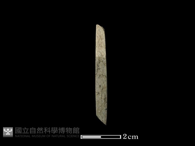 錛鑿形器藏品圖，第3張