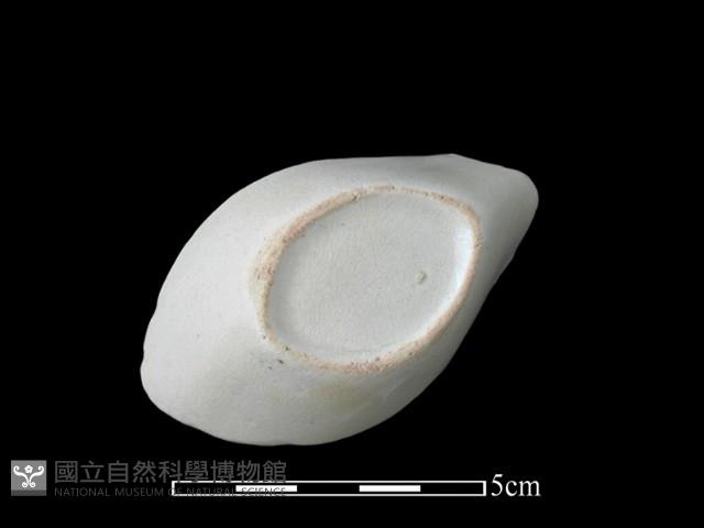 湯匙藏品圖，第3張