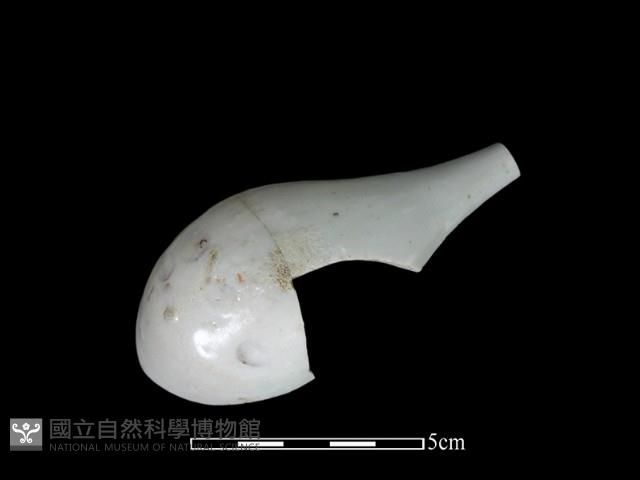 湯匙藏品圖，第3張