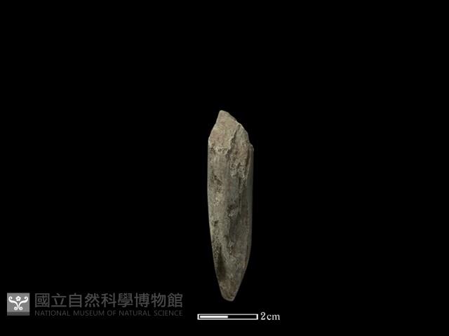 錛鑿形器藏品圖，第1張