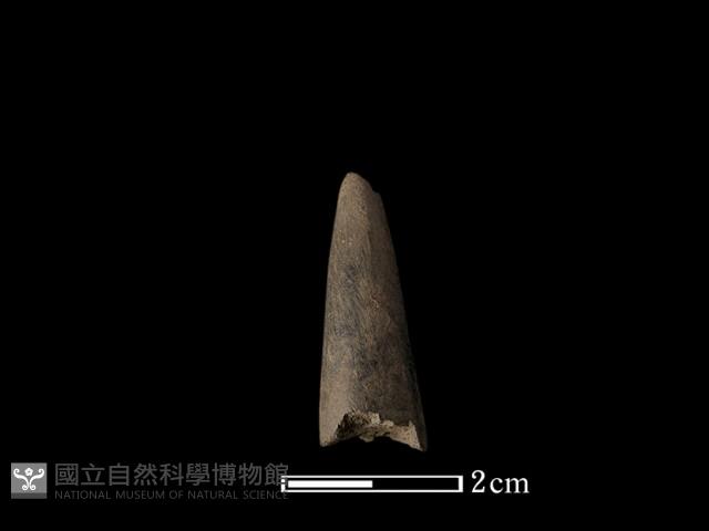 磨製石器藏品圖，第3張