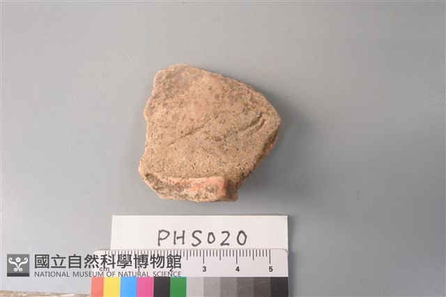 陶片藏品圖，第3張
