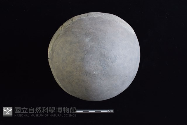 陶罐藏品圖，第3張