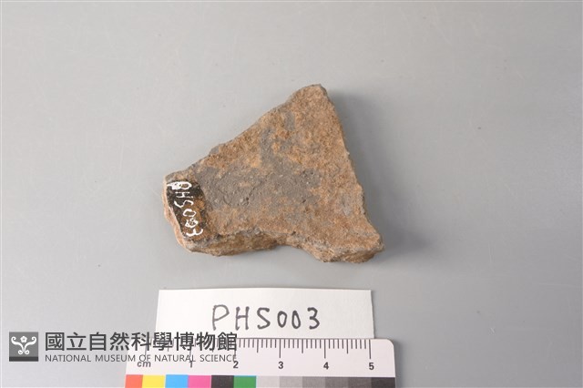 陶片藏品圖，第3張