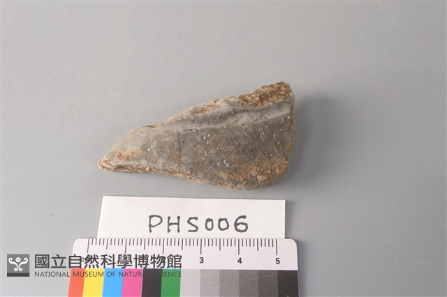 陶片藏品圖，第3張