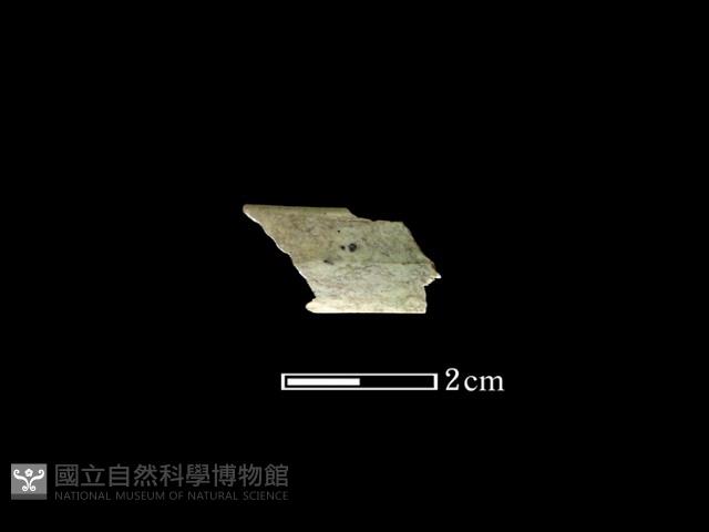 玉環藏品圖，第2張