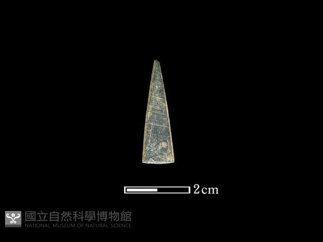矛鏃形器藏品圖，第2張