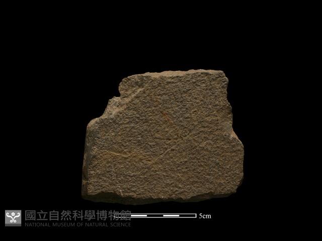 磨製石器藏品圖，第2張