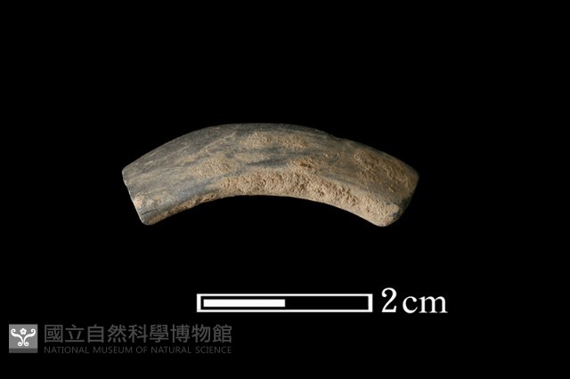 陶環藏品圖，第1張
