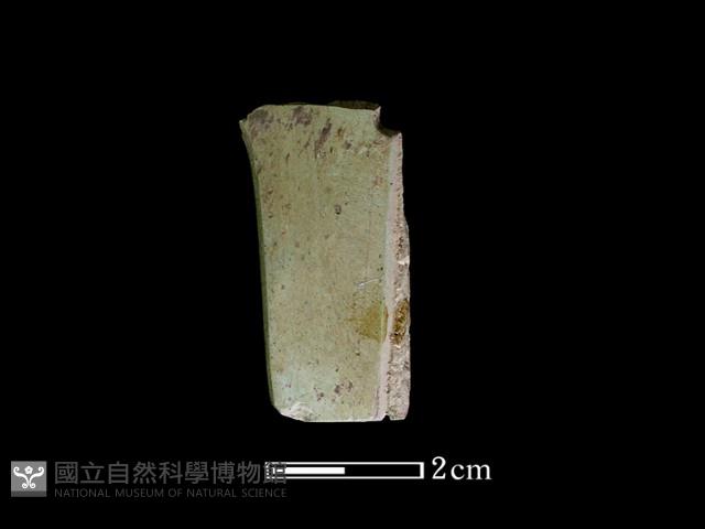 矛鏃形器藏品圖，第1張