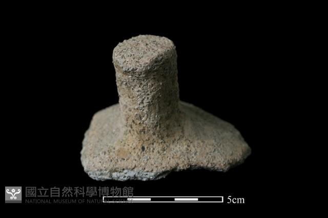 陶蓋鈕藏品圖，第1張
