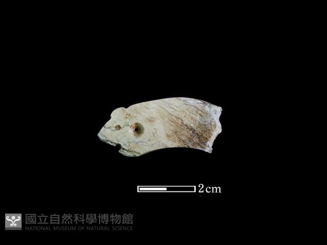 玉玦藏品圖，第2張