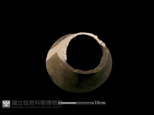 豆形器藏品圖，第2張