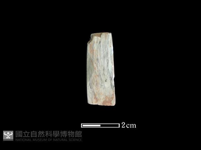 錛鑿形器藏品圖，第1張