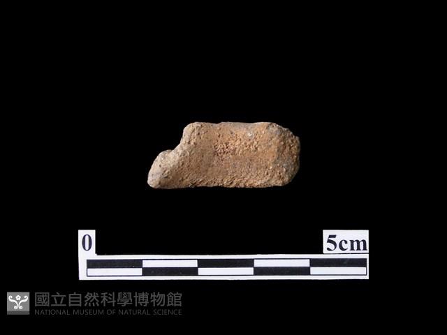 陶耳藏品圖，第2張