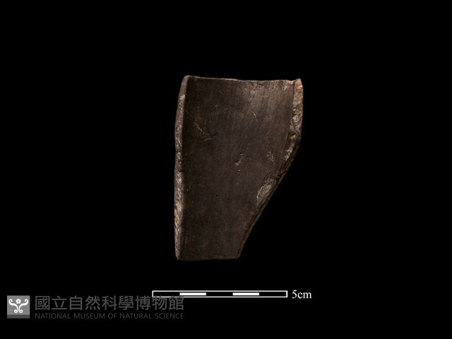 陶環藏品圖，第2張