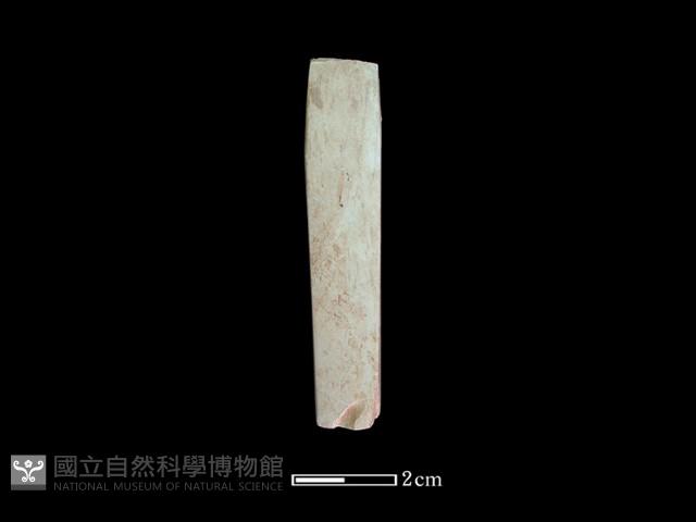 錛鑿形器藏品圖，第2張