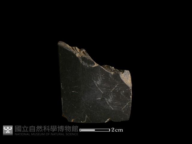 錛鑿形器藏品圖，第3張