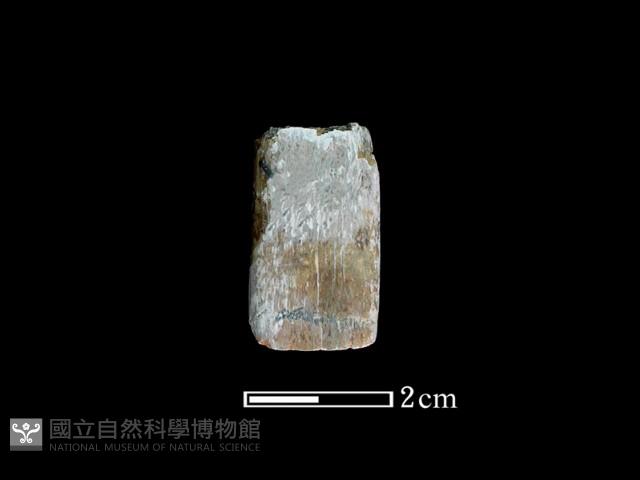 錛鑿形器藏品圖，第2張