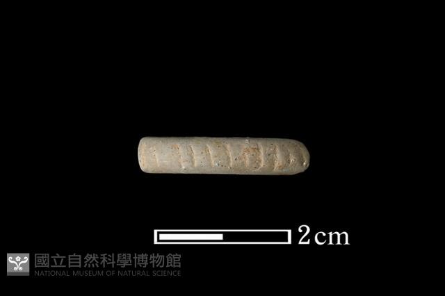 陶環藏品圖，第2張