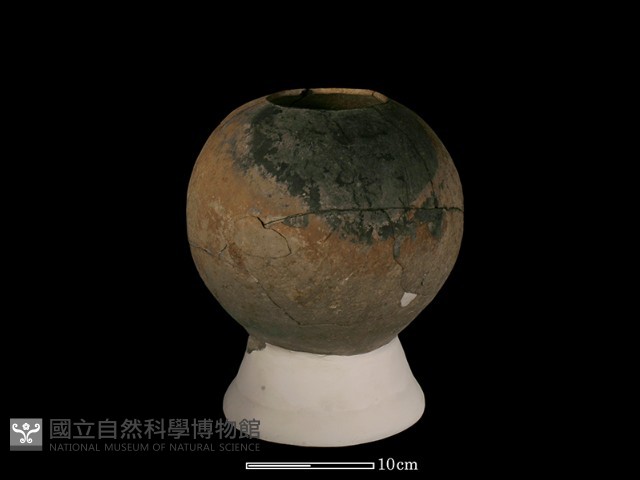 豆形器藏品圖，第3張