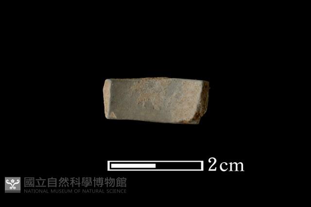 陶環藏品圖，第2張