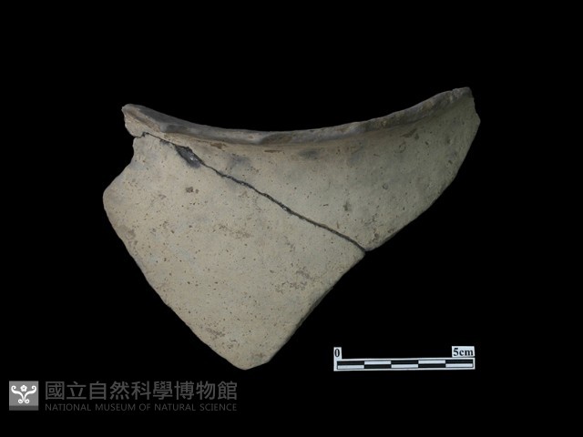 陶片藏品圖，第3張